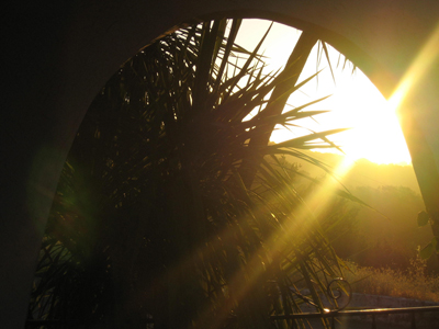 Sunrise on the Veranda, Novato, CA